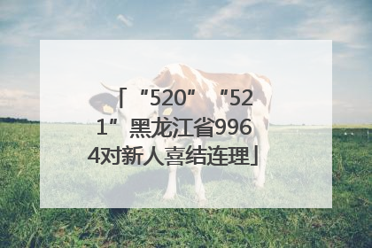 “520”“521”黑龙江省9964对新人喜结连理