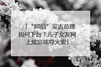 “80后”蒙古总理因何下台？儿子女友网上炫富成导火索