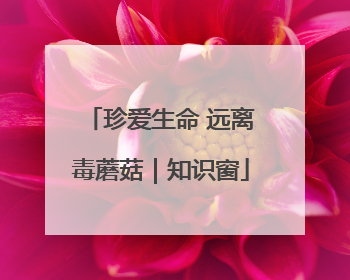 珍爱生命 远离毒蘑菇｜知识窗