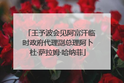 王予波会见阿富汗临时政府代理副总理阿卜杜·萨拉姆·哈纳菲