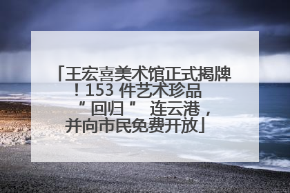 王宏喜美术馆正式揭牌！153 件艺术珍品 “ 回归 ” 连云港，并向市民免费开放