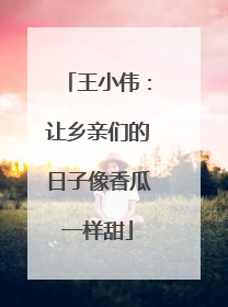 王小伟：让乡亲们的日子像香瓜一样甜