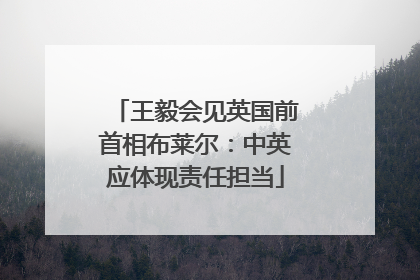 王毅会见英国前首相布莱尔：中英应体现责任担当
