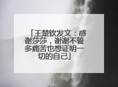 王楚钦发文：感谢莎莎，谢谢不管多痛苦也想证明一切的自己
