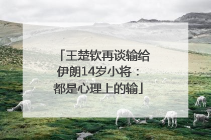 王楚钦再谈输给伊朗14岁小将：都是心理上的输