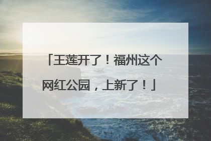 王莲开了！福州这个网红公园，上新了！