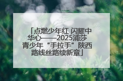 点燃少年红 闪耀中华心——2025浦莎青少年“手拉手”陕西路线丝路续新章