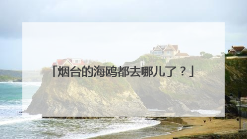 烟台的海鸥都去哪儿了？
