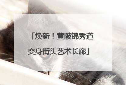 焕新！黄陂锦秀道变身街头艺术长廊