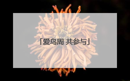 爱鸟周 共参与