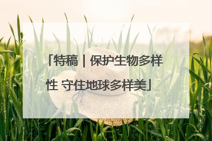 特稿｜保护生物多样性 守住地球多样美