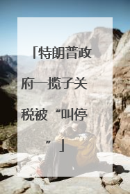 特朗普政府一揽子关税被“叫停”