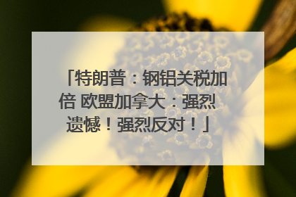 特朗普：钢铝关税加倍 欧盟加拿大：强烈遗憾！强烈反对！