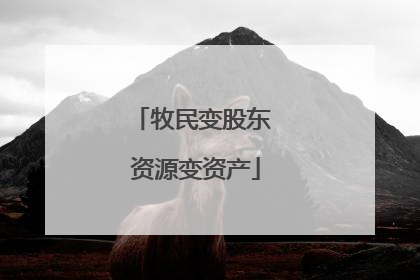 牧民变股东 资源变资产