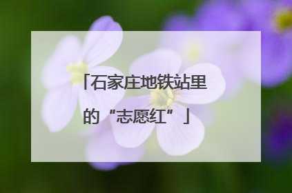 石家庄地铁站里的“志愿红”
