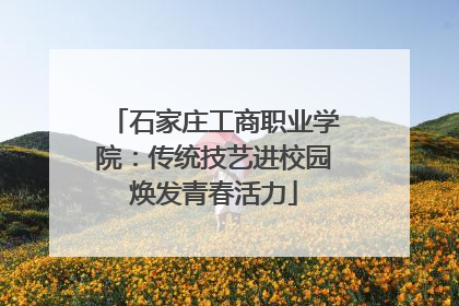石家庄工商职业学院：传统技艺进校园焕发青春活力