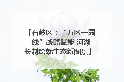 石鼓区：“五区一园一线”战略赋能 河湖长制绘就生态新图景