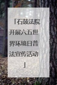 石鼓法院开展六五世界环境日普法宣传活动