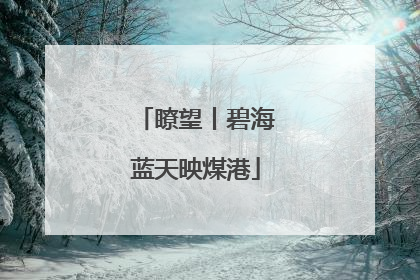 瞭望丨碧海蓝天映煤港