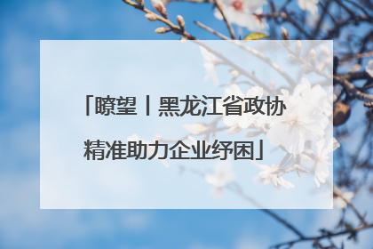 瞭望丨黑龙江省政协精准助力企业纾困
