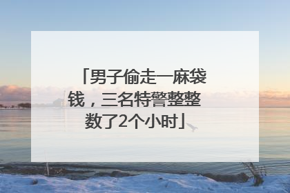 男子偷走一麻袋钱，三名特警整整数了2个小时