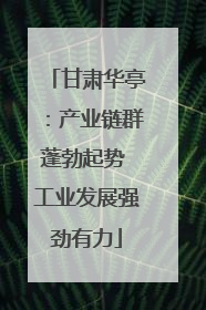 甘肃华亭：产业链群蓬勃起势 工业发展强劲有力