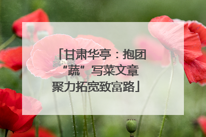 甘肃华亭：抱团“蔬”写菜文章 聚力拓宽致富路