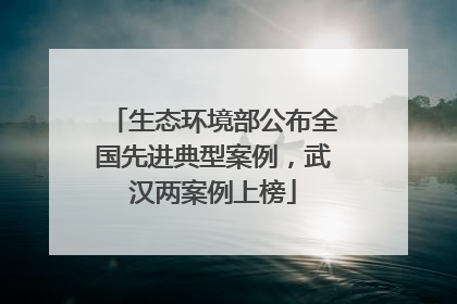 生态环境部公布全国先进典型案例，武汉两案例上榜