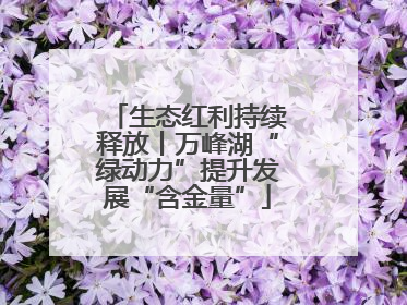 生态红利持续释放丨万峰湖“绿动力”提升发展“含金量”