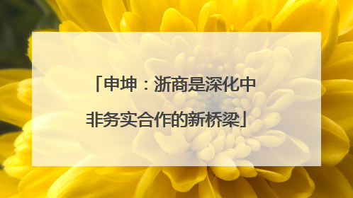 申坤：浙商是深化中非务实合作的新桥梁