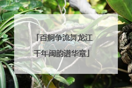百舸争流舞龙江 千年闽韵谱华章