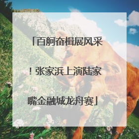 百舸奋楫展风采！张家浜上演陆家嘴金融城龙舟赛