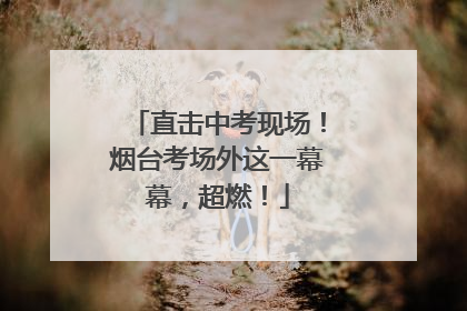 直击中考现场！烟台考场外这一幕幕，超燃！