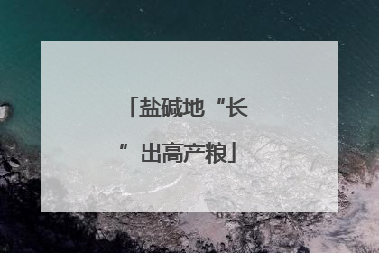盐碱地“长”出高产粮