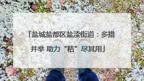 盐城盐都区盐渎街道：多措并举 助力“秸”尽其用