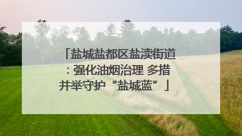 盐城盐都区盐渎街道：强化油烟治理 多措并举守护“盐城蓝”