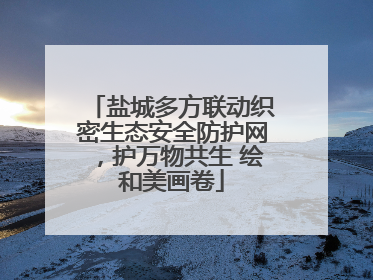 盐城多方联动织密生态安全防护网，护万物共生 绘和美画卷
