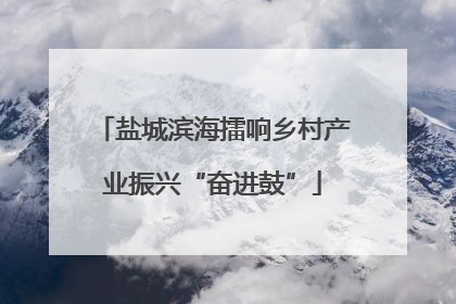盐城滨海擂响乡村产业振兴“奋进鼓”