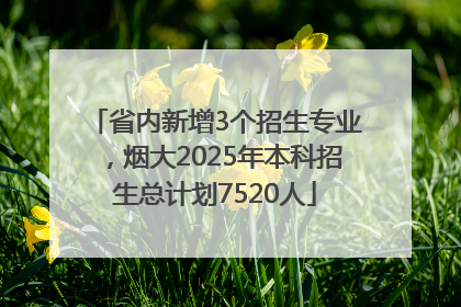 省内新增3个招生专业，烟大2025年本科招生总计划7520人
