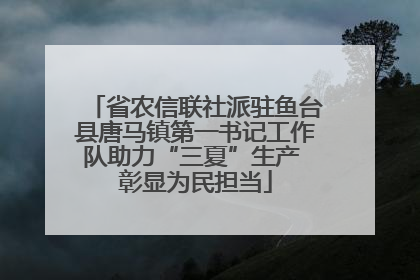 省农信联社派驻鱼台县唐马镇第一书记工作队助力“三夏”生产 彰显为民担当