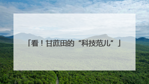 看！甘蔗田的“科技范儿”