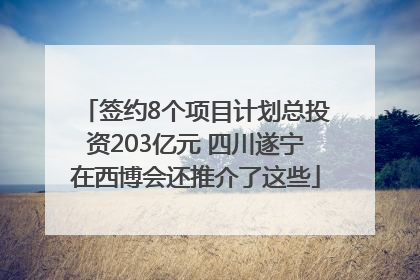 签约8个项目计划总投资203亿元 四川遂宁在西博会还推介了这些