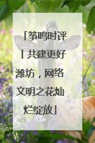 筝鸣时评丨共建更好潍坊，网络文明之花灿烂绽放