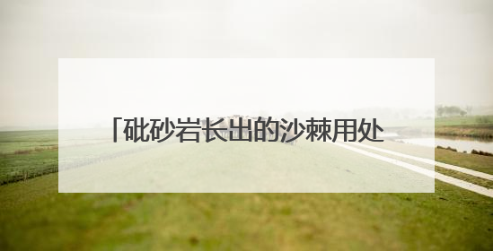 砒砂岩长出的沙棘用处大（美丽中国·生态治理中的特色植物③）