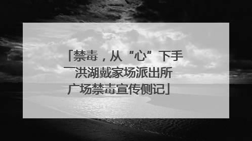 禁毒，从“心”下手――洪湖戴家场派出所广场禁毒宣传侧记