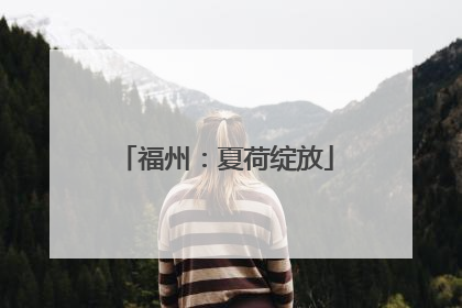 福州：夏荷绽放