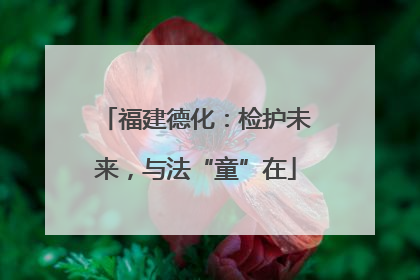 福建德化：检护未来，与法“童”在