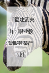 福建武夷山：职业教育服务茶产业