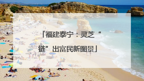 福建泰宁：灵芝“链”出富民新图景