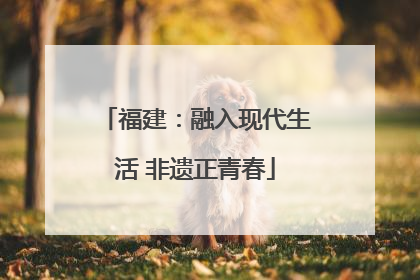 福建：融入现代生活 非遗正青春